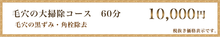毛穴の大掃除コース