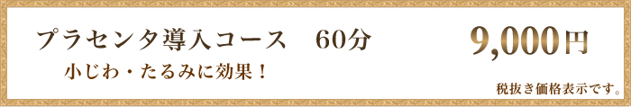 プラセンタ導入コース