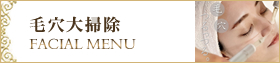 毛穴大掃除フェイシャル