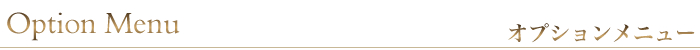 オプションメニュー