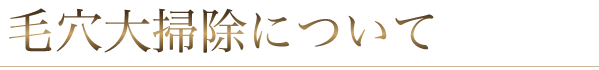 毛穴洗浄について