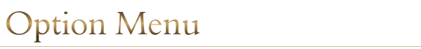 オプションメニュー